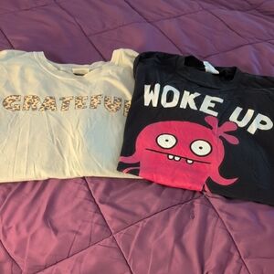 Comfort Colors Plus T-Shirts - Grey/Green and Black Size 3X